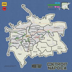 MOBTRAP - 5 Dosare