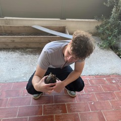 mzk + proyo + tpk - vie2trench.wav