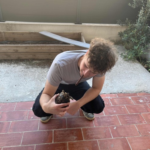 mzk + proyo + tpk - vie2trench.wav