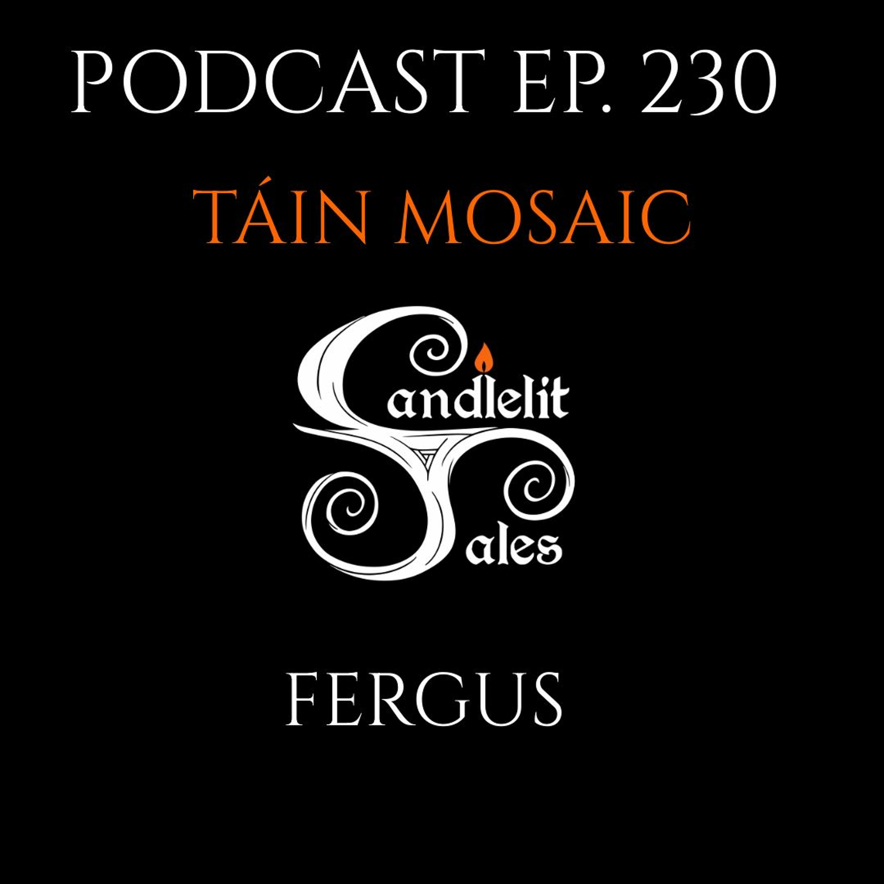 Episode 230 - Táin Mosaic - Fergus