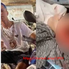 {Link Do Vídeo+} gotinha da mare no iml portal zacarias foto do gotinha no iml morto