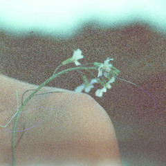 Sweet Disposition - Revision by Tino