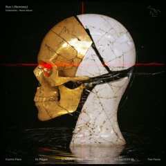 Run I (Remixes)