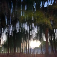 ICY