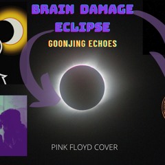 Brain Damage With Eclipse (pink floyd cover)
