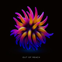 Out of reach