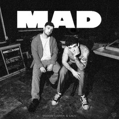 Martin Garrix & Lauv - MAD (fauul remix)