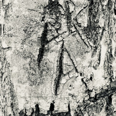 Yaminawà