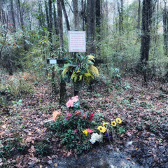 zero ft tonymexikoo prod filthygenes