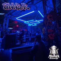 JUNGLETEK VS ROLLERS