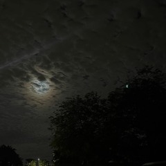 Soul Tied (prod. undrcvr)