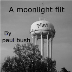 A MOONLIGHT FLIT (flint)