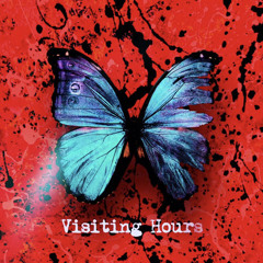 Visiting Hours - Ed Sheeran SPARQ Remix