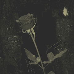 Afraid to Love