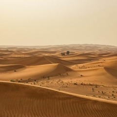Magro911 - Sahara