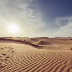 The Hero’s journey