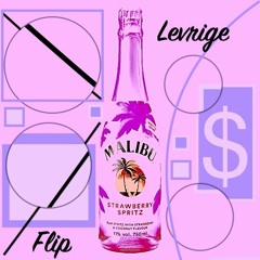 Malibu Money - Levrige Flip (free dl)