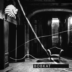 Alex Rubino & Sisko Electrofanatik - Bobkat