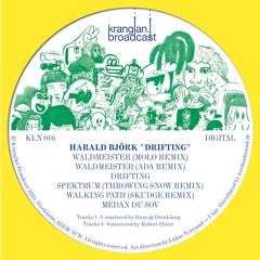 Harald Björk - Waldmeister (Molø Remix) [Kranglan Broadcast]