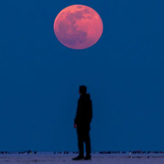 SET Full Moon Wagon Souk