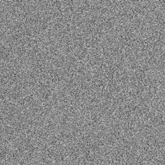 Two Voices, One Truth