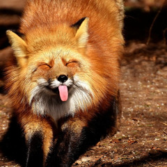Foxy Brown
