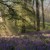Artwork for Aleetypebeat background music download (FREE DOWNLOAD)