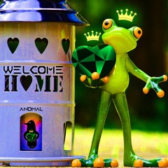 Week #27 Welcome Home (528Hz)