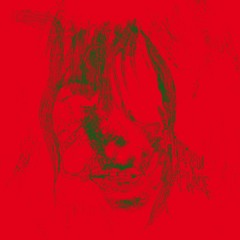 Bjork - Hidden Place (Revealing Remix)