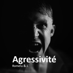 Agressivité
