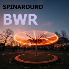 SPINAROUND
