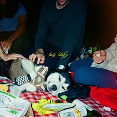 DOG DAYS