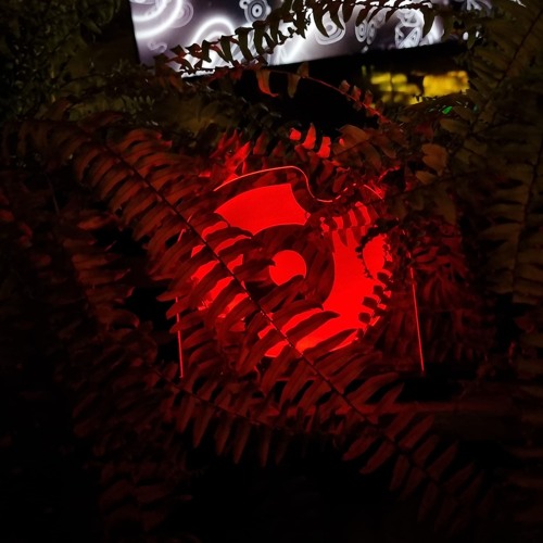 Warm up Sunset - CONCEPT GARDEN @BIGODE // The HOUSE Sessions "Stereohank b2b Salazar"
