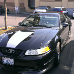 Fast Cars and Cigarettes