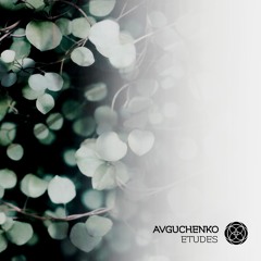 Avguchenko - Teplo [Echoshapes]