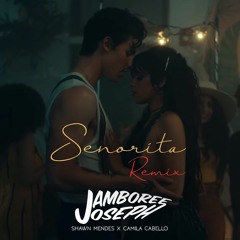 Shawn Mendes, Camila Cabello, Jamboree Joseph - Señorita [EDM 2020 REMIX]