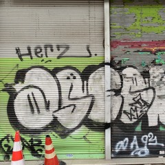 Ο μόνος επιβάτης (ΤΑ ΚΥΚΛΑΜΙΝΑ)