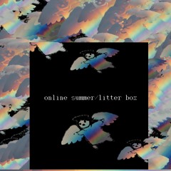 Online Summer/Litter Box