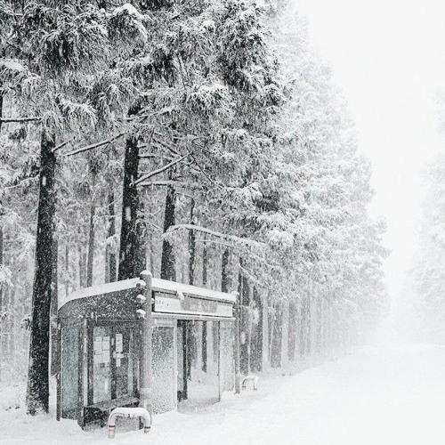 rieurtape_Snowy bus stop of Nostalgia