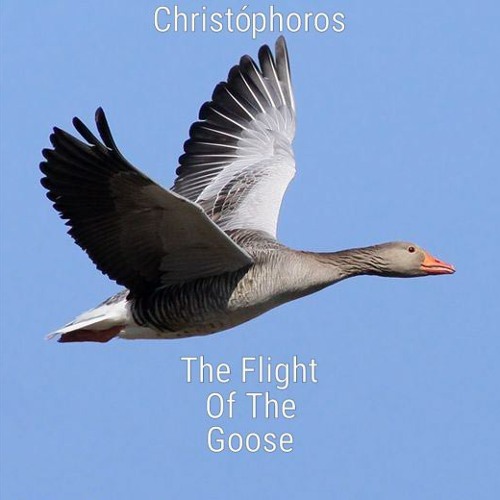 THE FLIGHT OF THE GOOSE