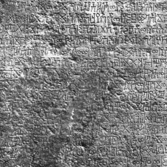 The Fall featuring jagoparkyn