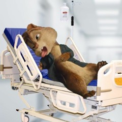 The End of Alvin