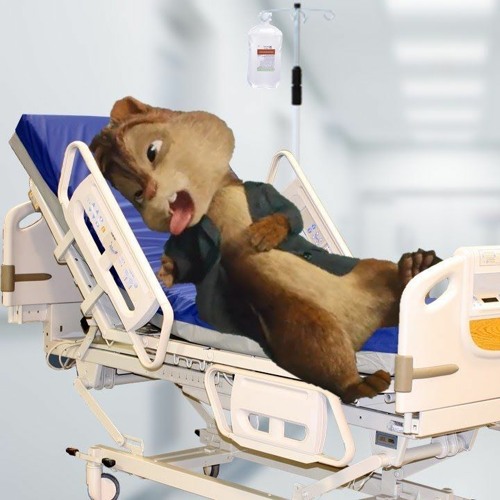 The End of Alvin