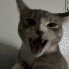 summer #kdR #advanced