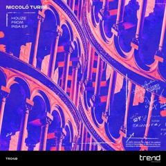 PREMIERE: Niccolò Turini - Get Down And Move Your Body [Trend Records]