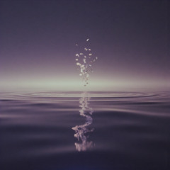 Invisible Bloom