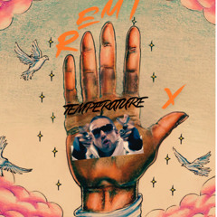 Palm Of My Hands (OM Remix) x TEMPERATURE (Brax Blends Intro Clean)