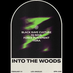 DJ NOIR - LIVE AT INTO THE WOODS | LOS ANGELES 2-1-2025