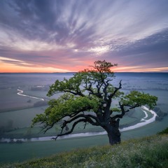 Elevate (prod. chooz)