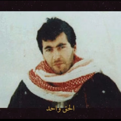 Zaytoun الرأس - زيتون